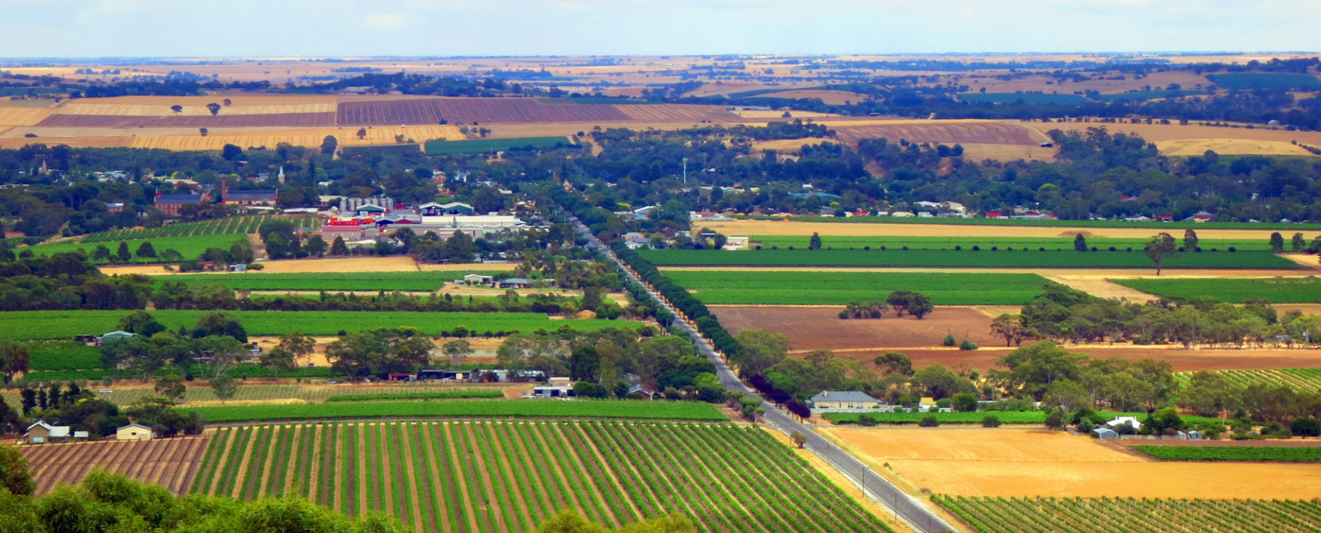 Aerial view of vineyards and farmland stretching across a South Australian valley