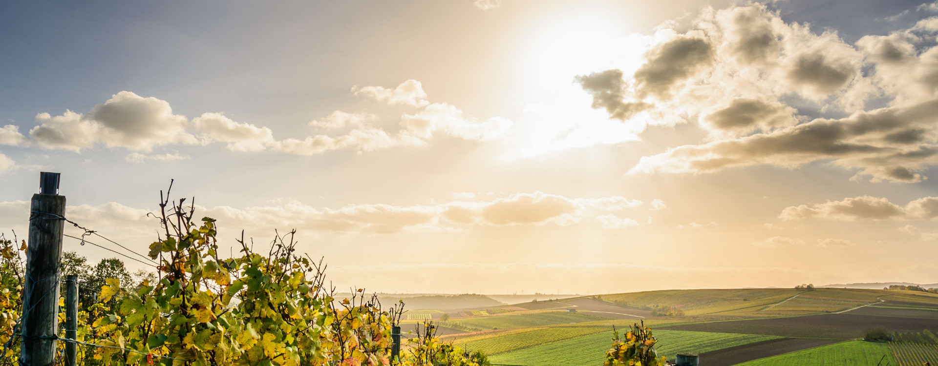 Sun setting over vineyards and rolling farmland