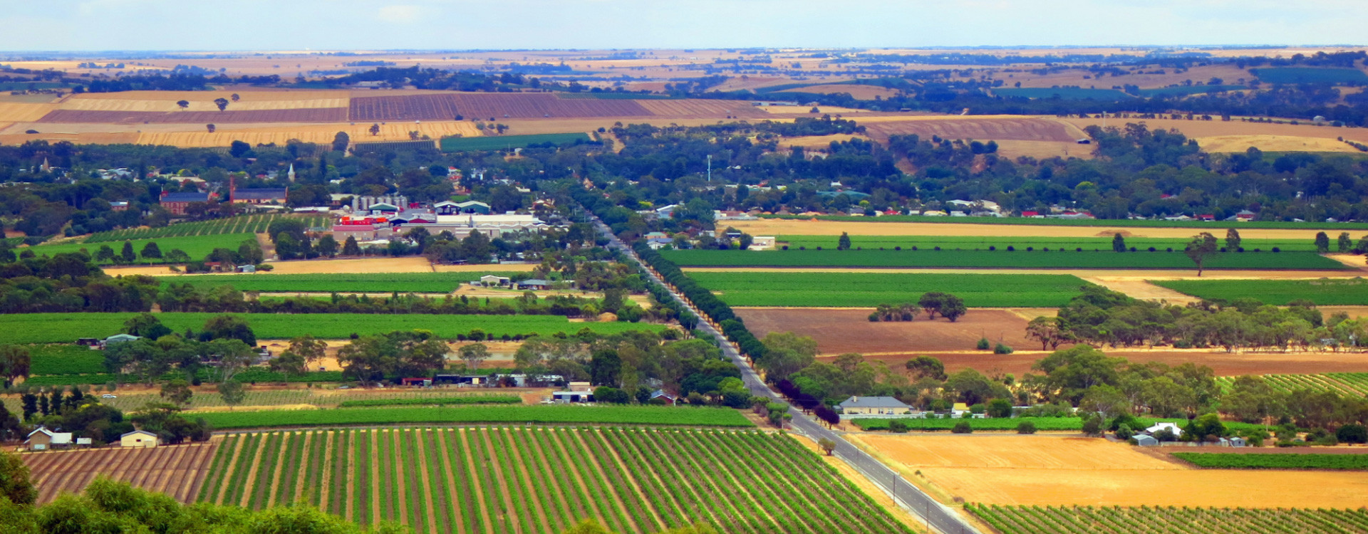 Aerial view of vineyards and farmland stretching across a South Australian valley